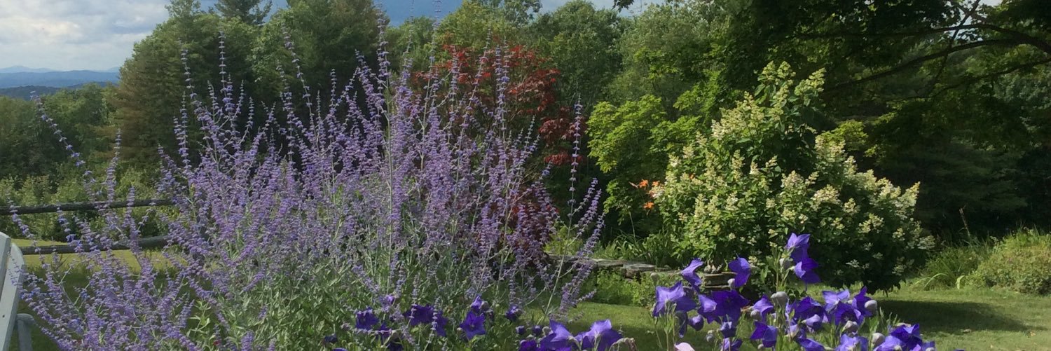 RRBNH's profile banner image