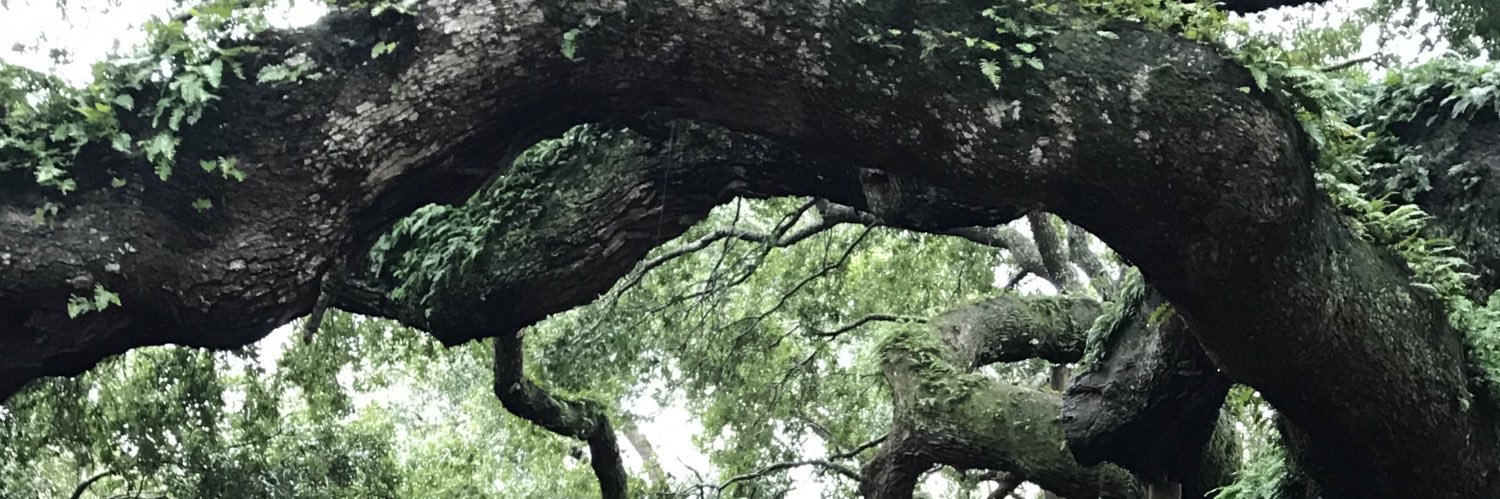 DawnRedmond1's profile banner image