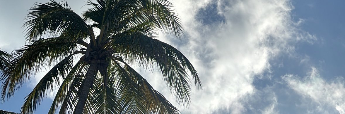 SooPrettiful's profile banner image