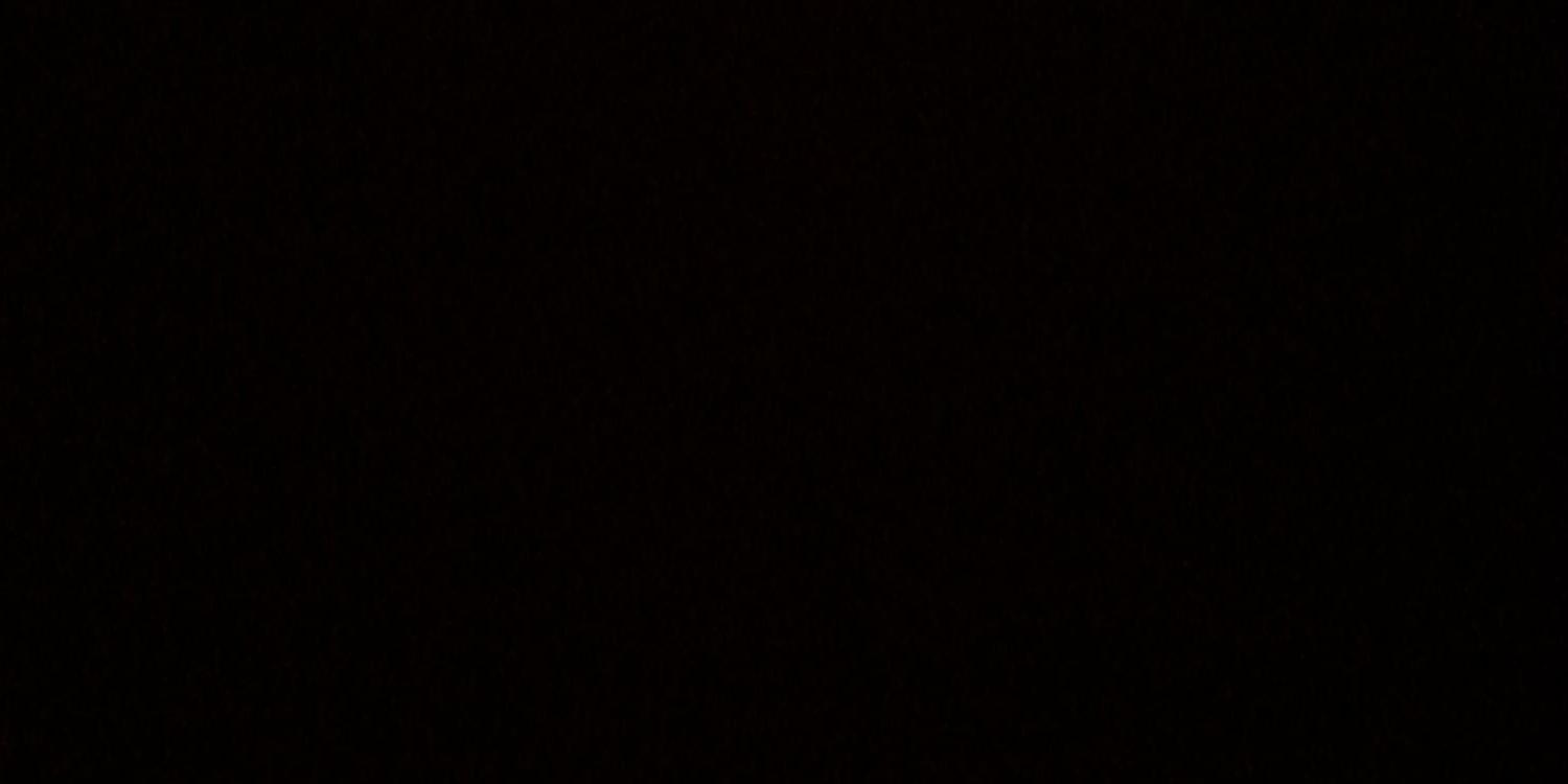 InesNevertolate's profile banner image