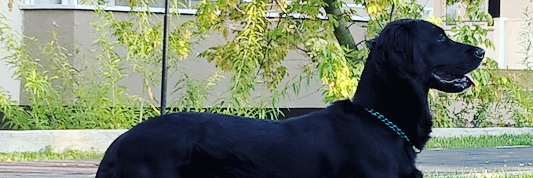 SlhCnfndc's profile banner image