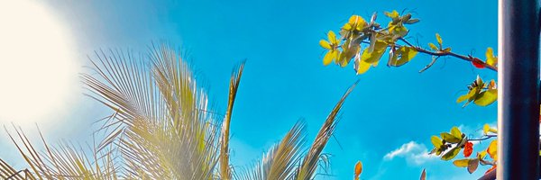 AnjMohindra Profile Banner