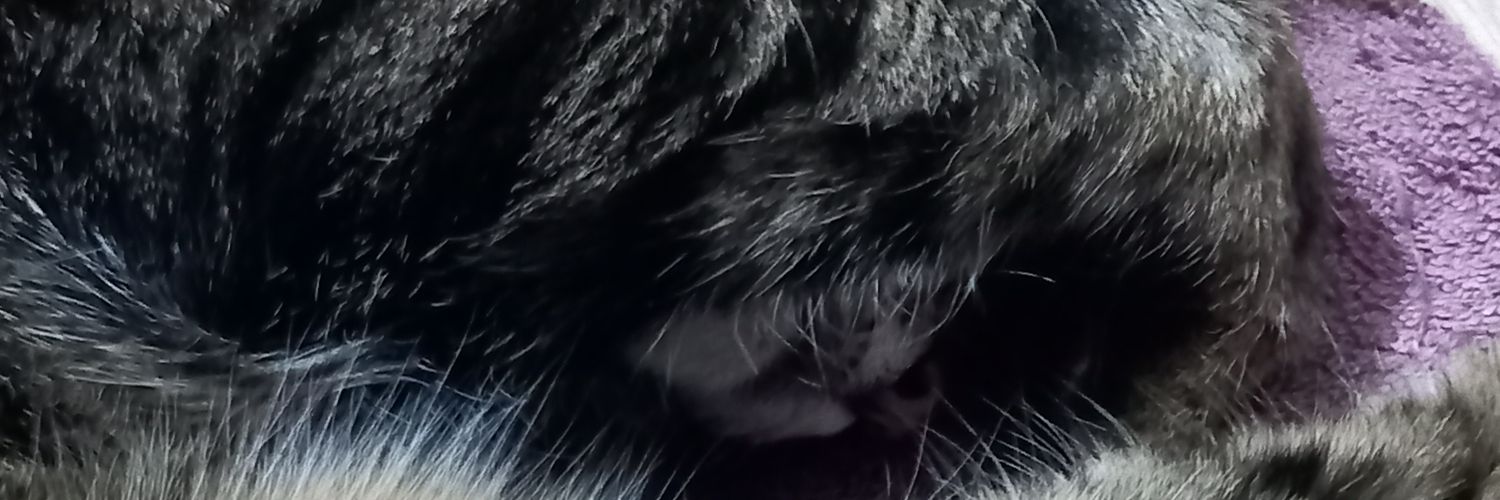 lindacottrell2's profile banner image