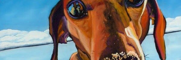 Distrito33O's profile banner image
