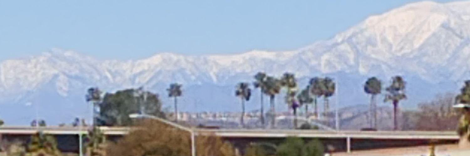 Steven metcalf banner