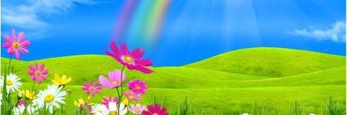 ma_5533's profile banner image