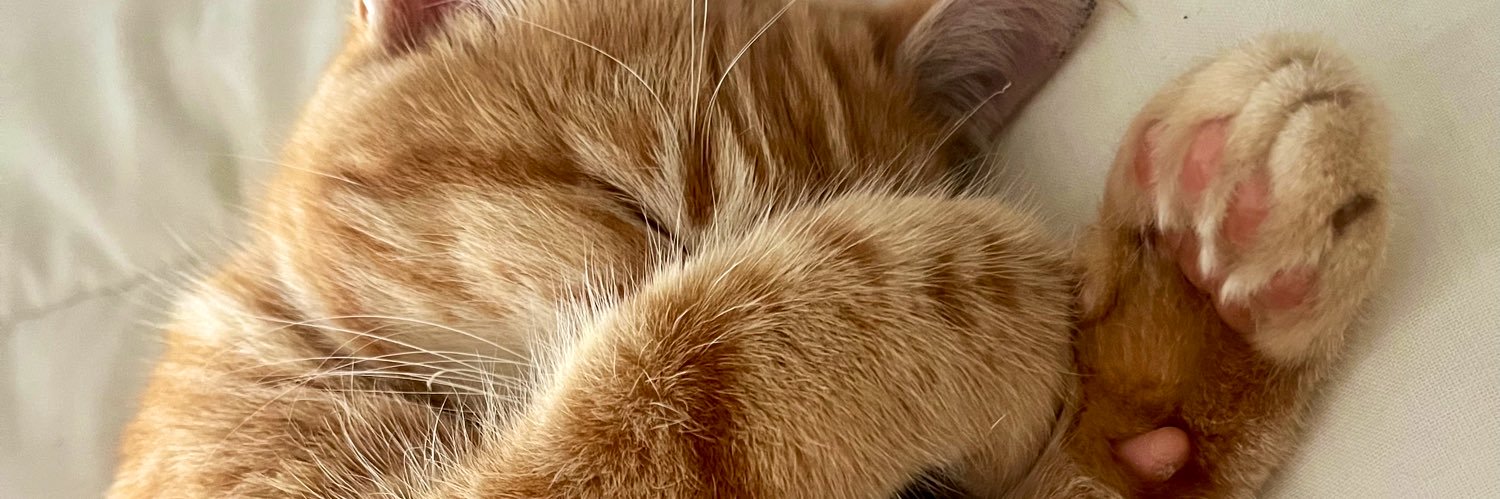 👑 banner