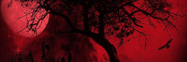 xZequ__ Profile Banner