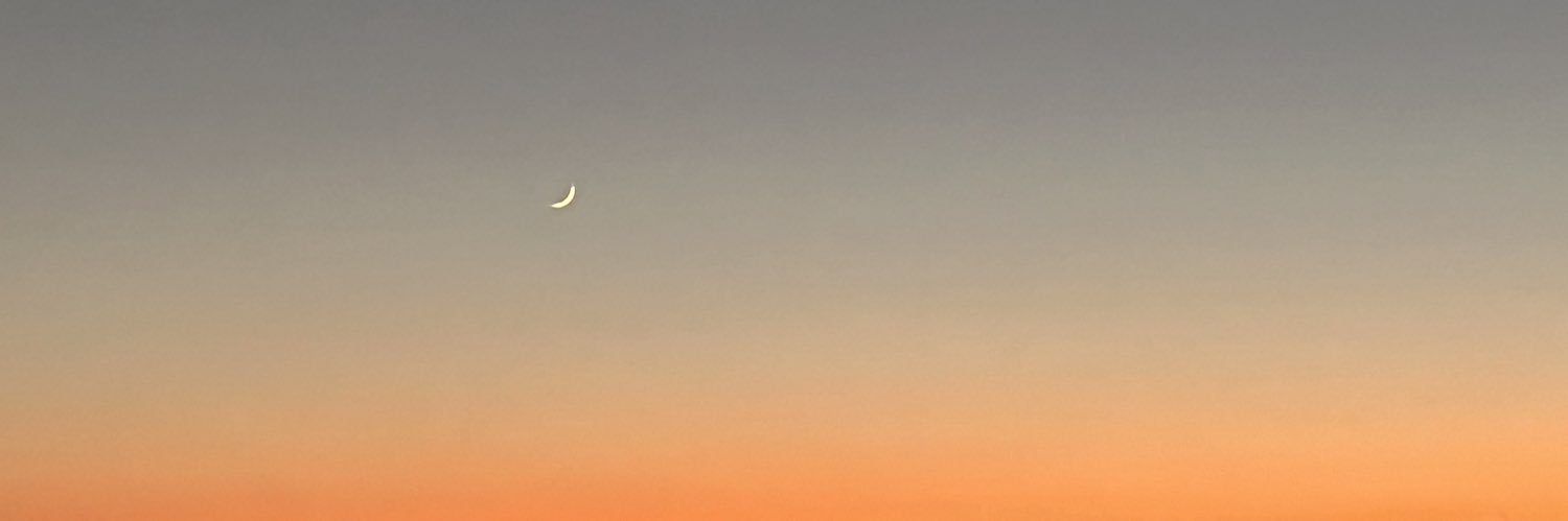 BereCorona_'s profile banner image