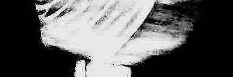 cukras02's profile banner image