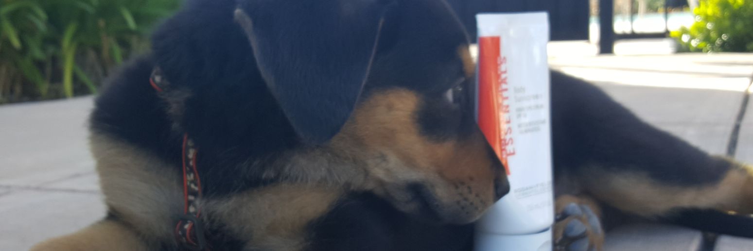 abajalamyrf's profile banner image