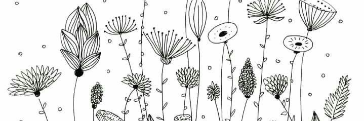 sofia_rivsosa's profile banner image