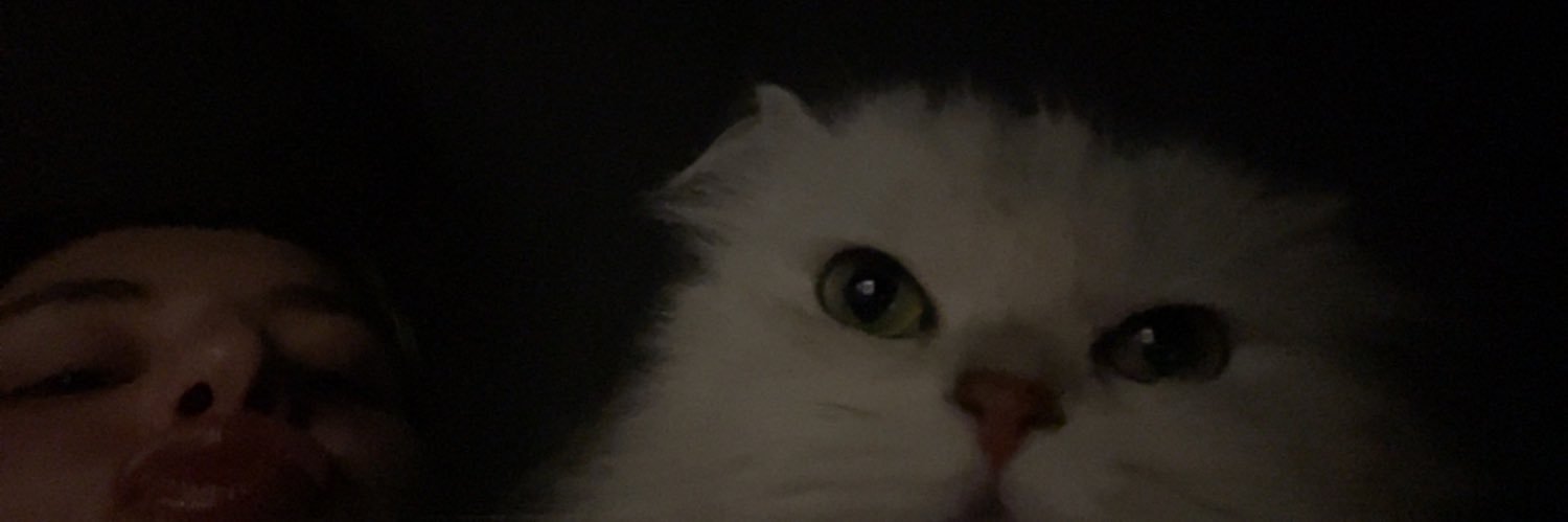 Zooeeddd's profile banner image