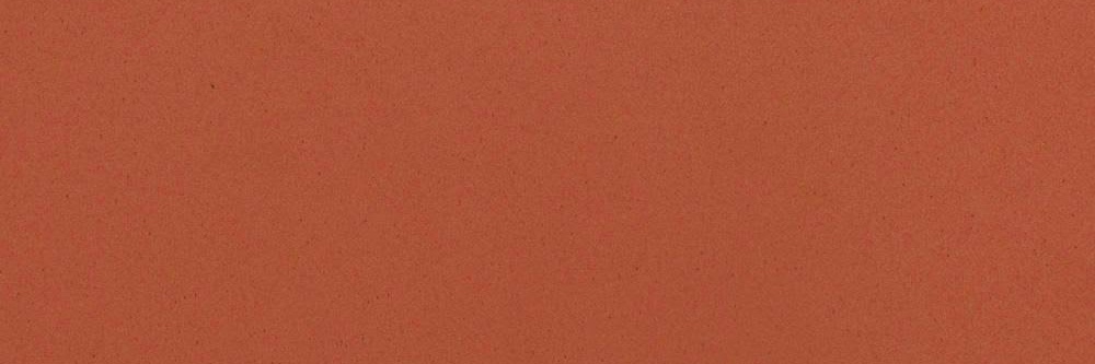 Borbolete-se banner
