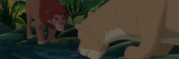 Coach Sutherland banner