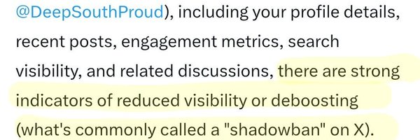 DeepSouthProud Profile Banner