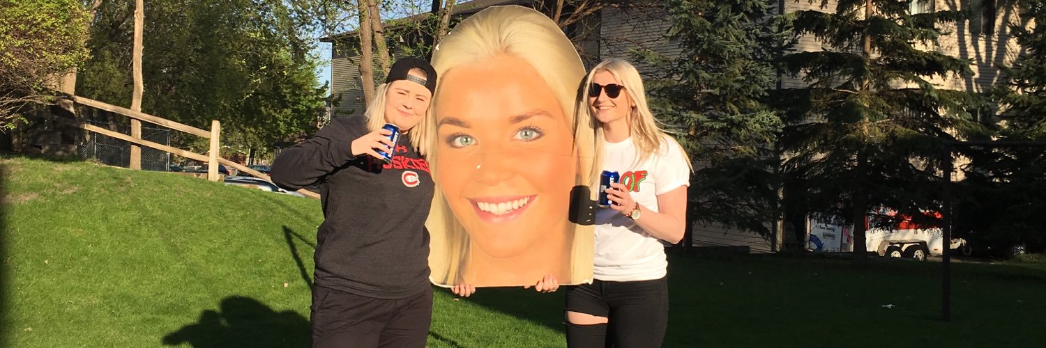 aannaengstrom's profile banner image