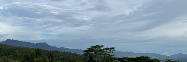 tomidelucca Profile Banner