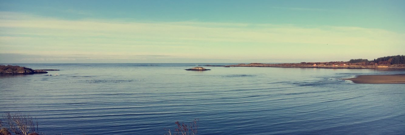 gautvik123's profile banner image
