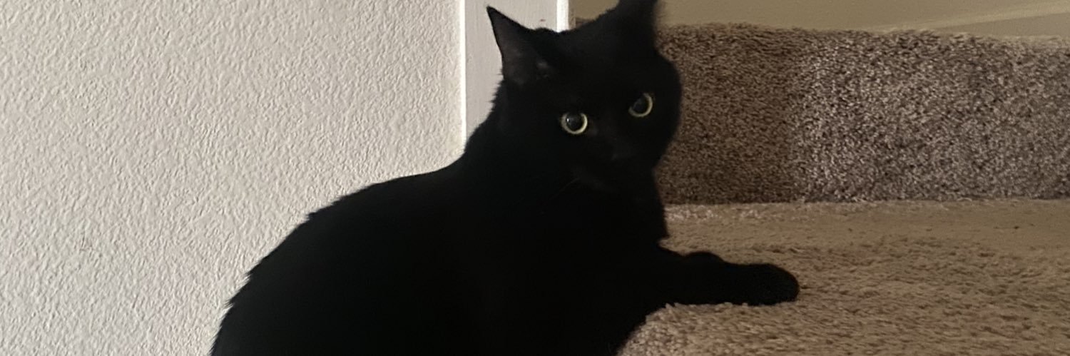 OfficialAnnslee's profile banner image