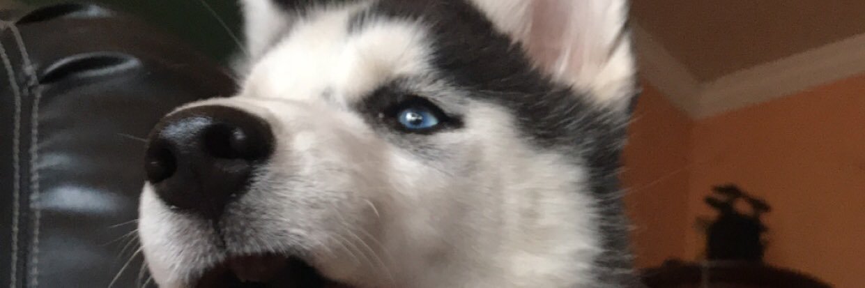 biggrrtay's profile banner image