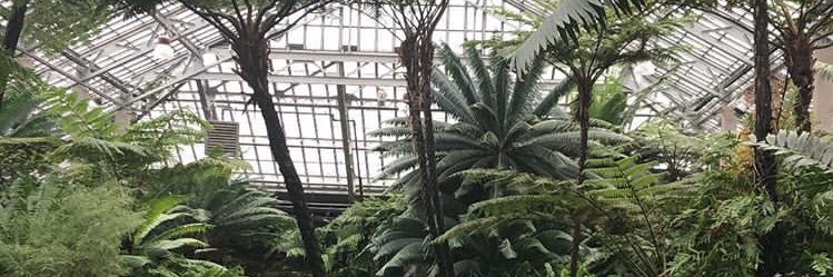 sofiamarie00's profile banner image