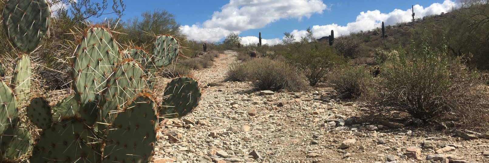 WoAdventures's profile banner image