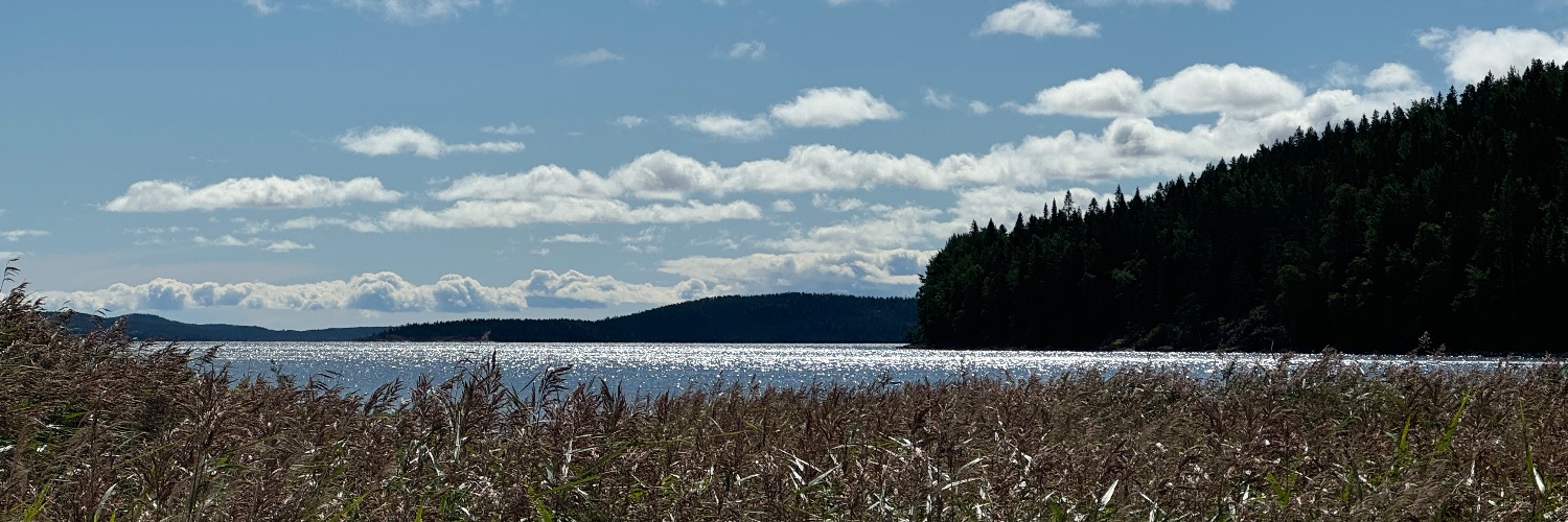 jdonrust's profile banner image