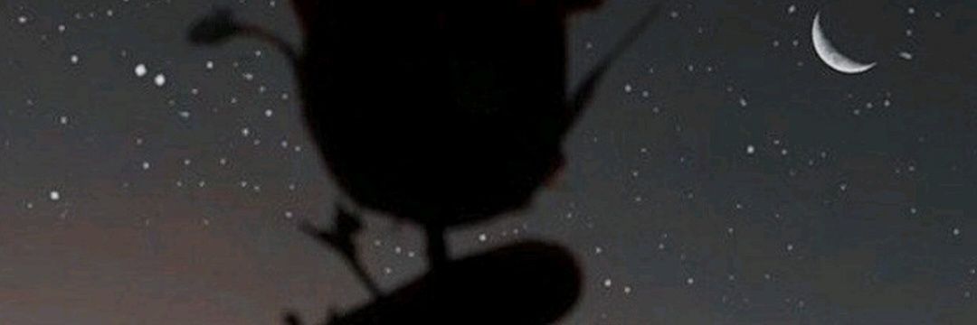 ssssa_08's profile banner image