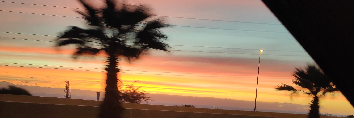 LiaNegrin's profile banner image