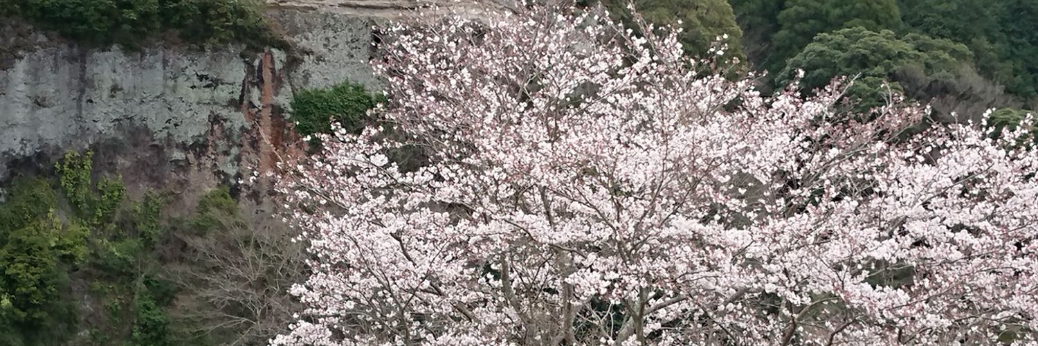 clover4_forest's profile banner image