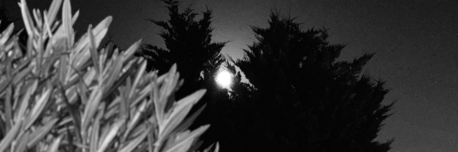 SapenaN's profile banner image