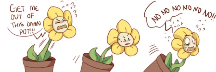 therealgoldflow's profile banner image