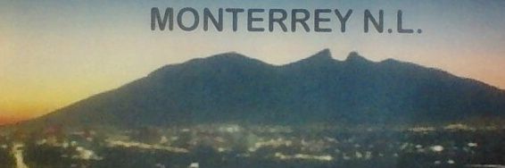 monse_ldlr's profile banner image