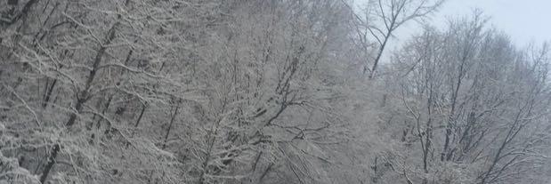 preciousleigh7's profile banner image