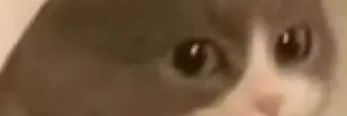 GaddyJ21's profile banner image