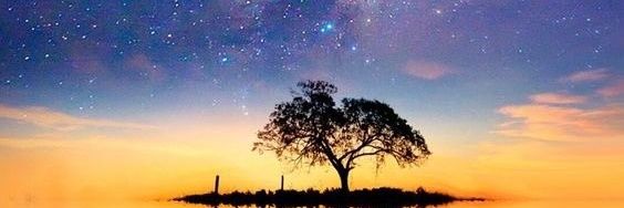 andliveelement's profile banner image