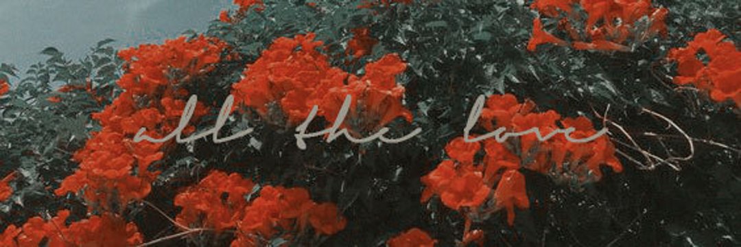 edscheeks's profile banner image
