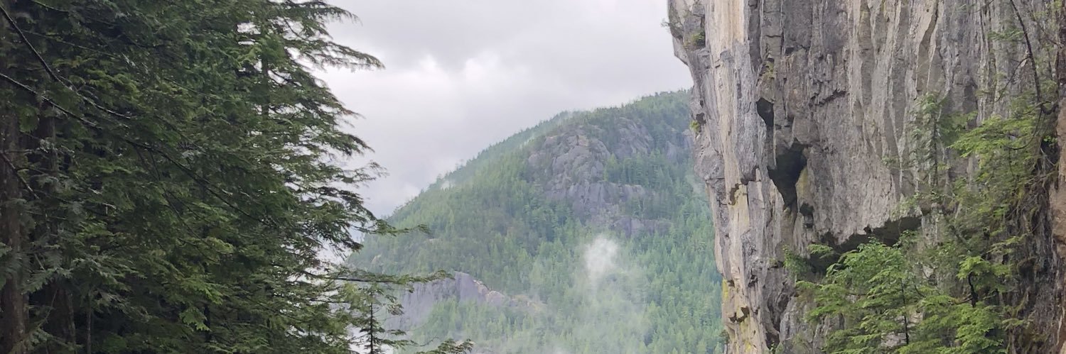 TheRealCFisch banner