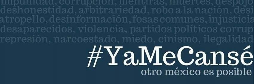 Liberal Socialista banner