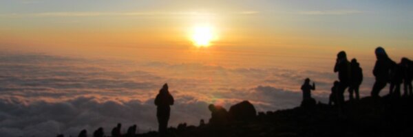 paedsdr Profile Banner