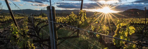 paulita72 Profile Banner