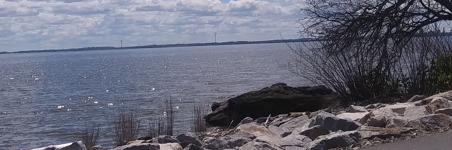 LeeWales81's profile banner image
