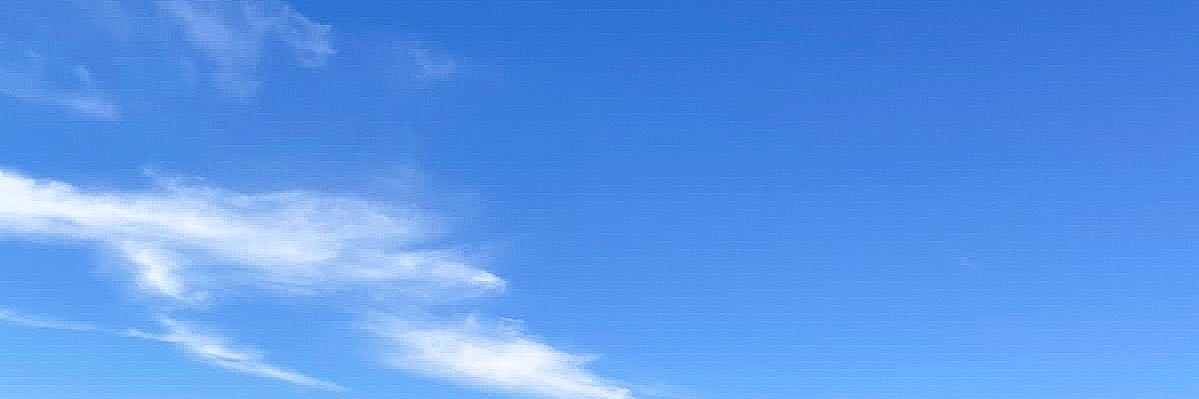 diicarlog's profile banner image