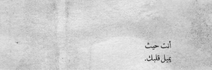 taigar911's profile banner image