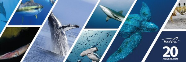 Marvivacr Profile Banner