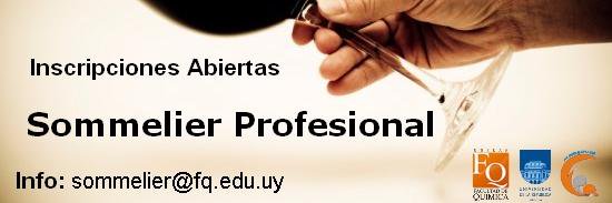 SommelierFQ's profile banner image