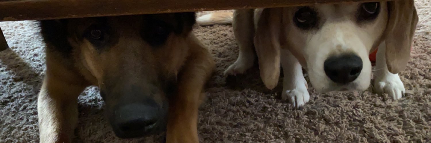 Beth Miller banner