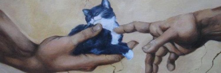 iceberg_77's profile banner image