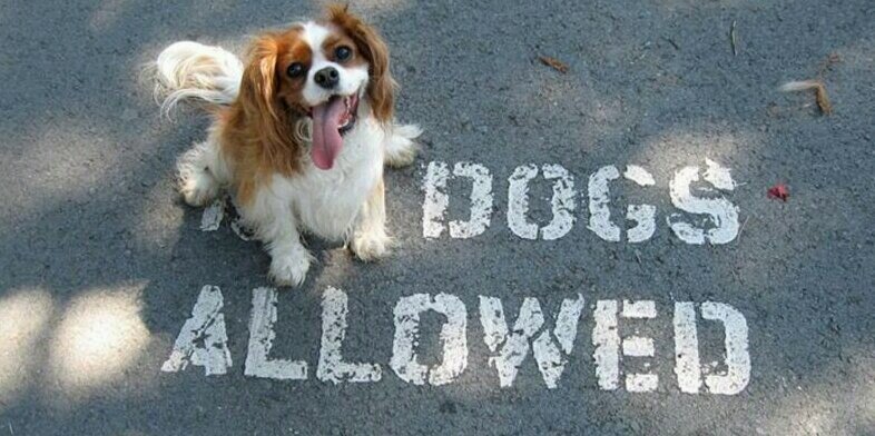 Matt Phillips banner